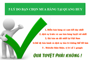Những lý do nên lựa chọn Quang Huy