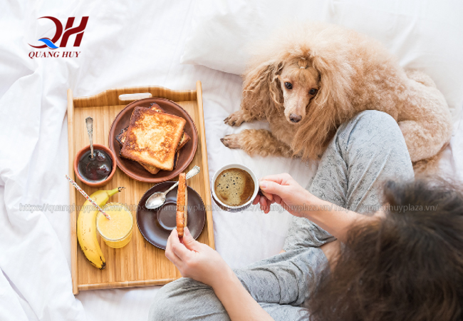 Việc ăn bánh mì mỗi sáng sẽ giúp tiêu hóa và xương tốt hơn Việc ăn bánh mì mỗi sáng sẽ giúp tiêu hóa tốt hơn