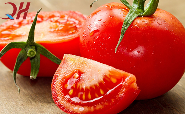 Bạn nên lựa chọn cà chua tươi và mọng nước