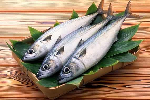 Chi phí mua nguyên liệu, đặc biệt là cá không quá đắt đỏ Chi phí mua nguyên liệu, đặc biệt là cá không quá đắt đỏ