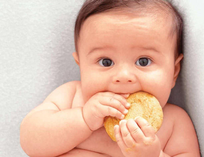 cân đối dinh dưỡng bánh mì ăn dặm cho bé